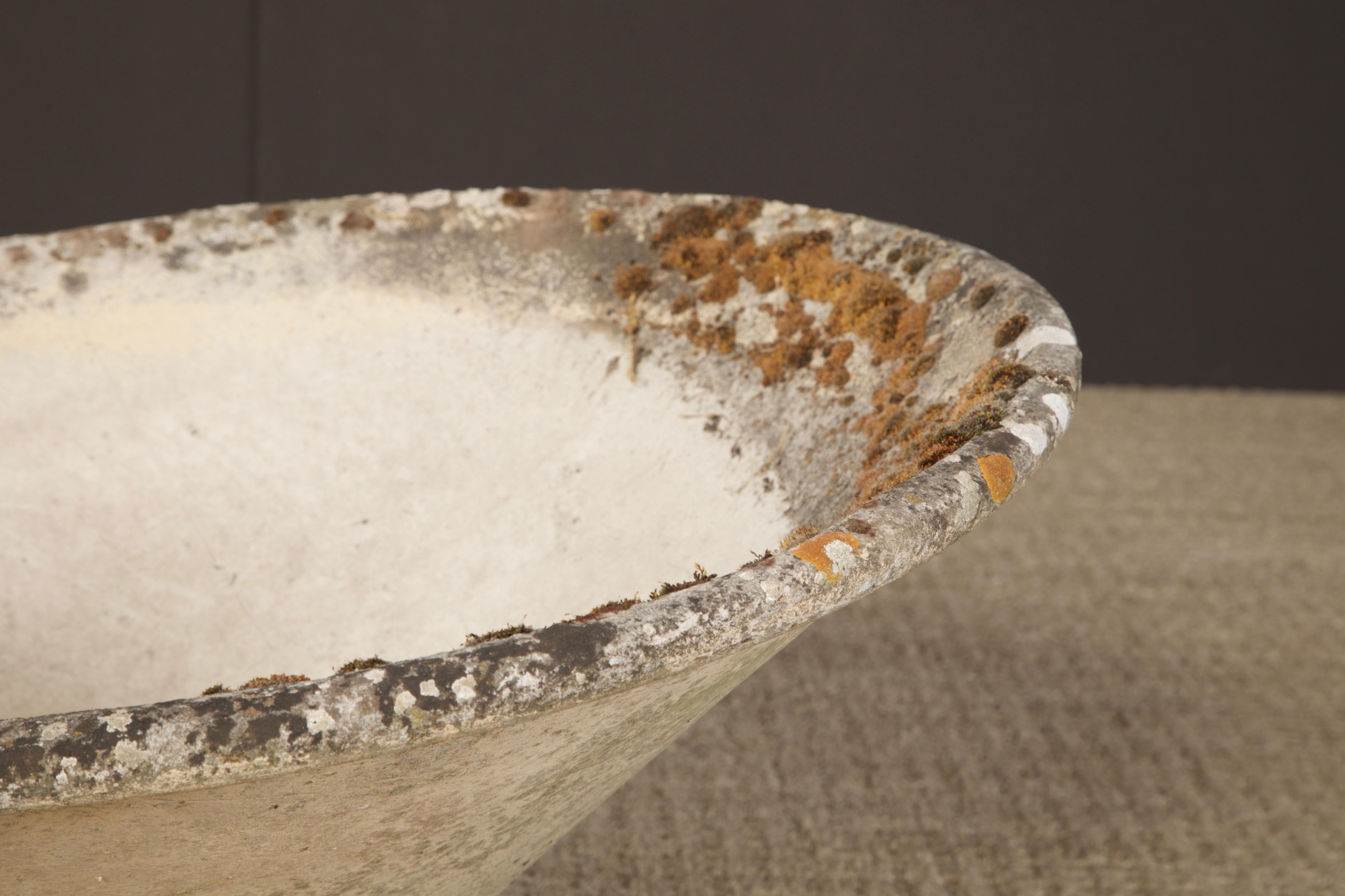 Willy Guhl for Eternit Tilted Spindle Concrete Planter, circa 1968 For Sale 8