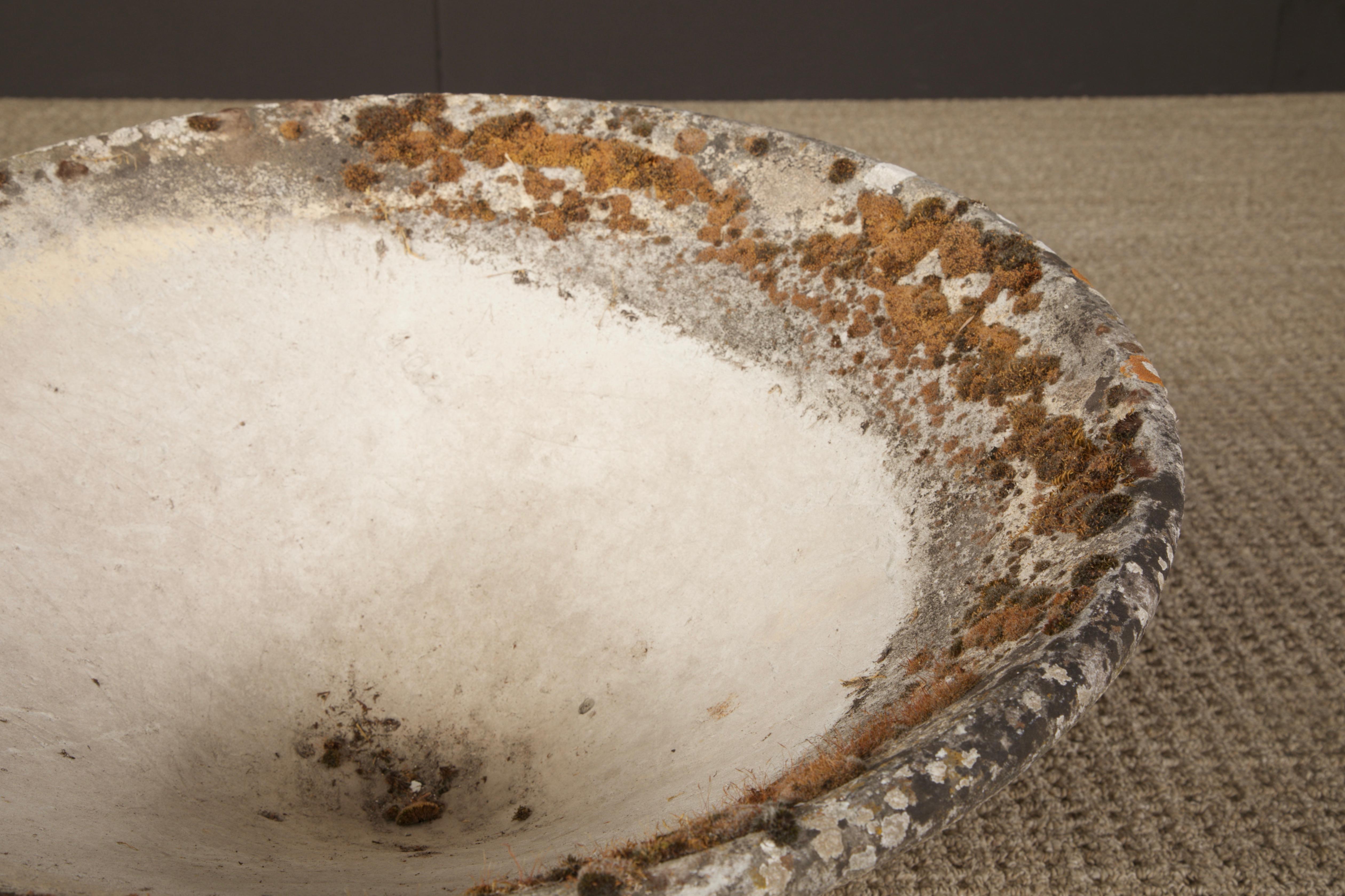 Willy Guhl for Eternit Tilted Spindle Concrete Planter, circa 1968 For Sale 1