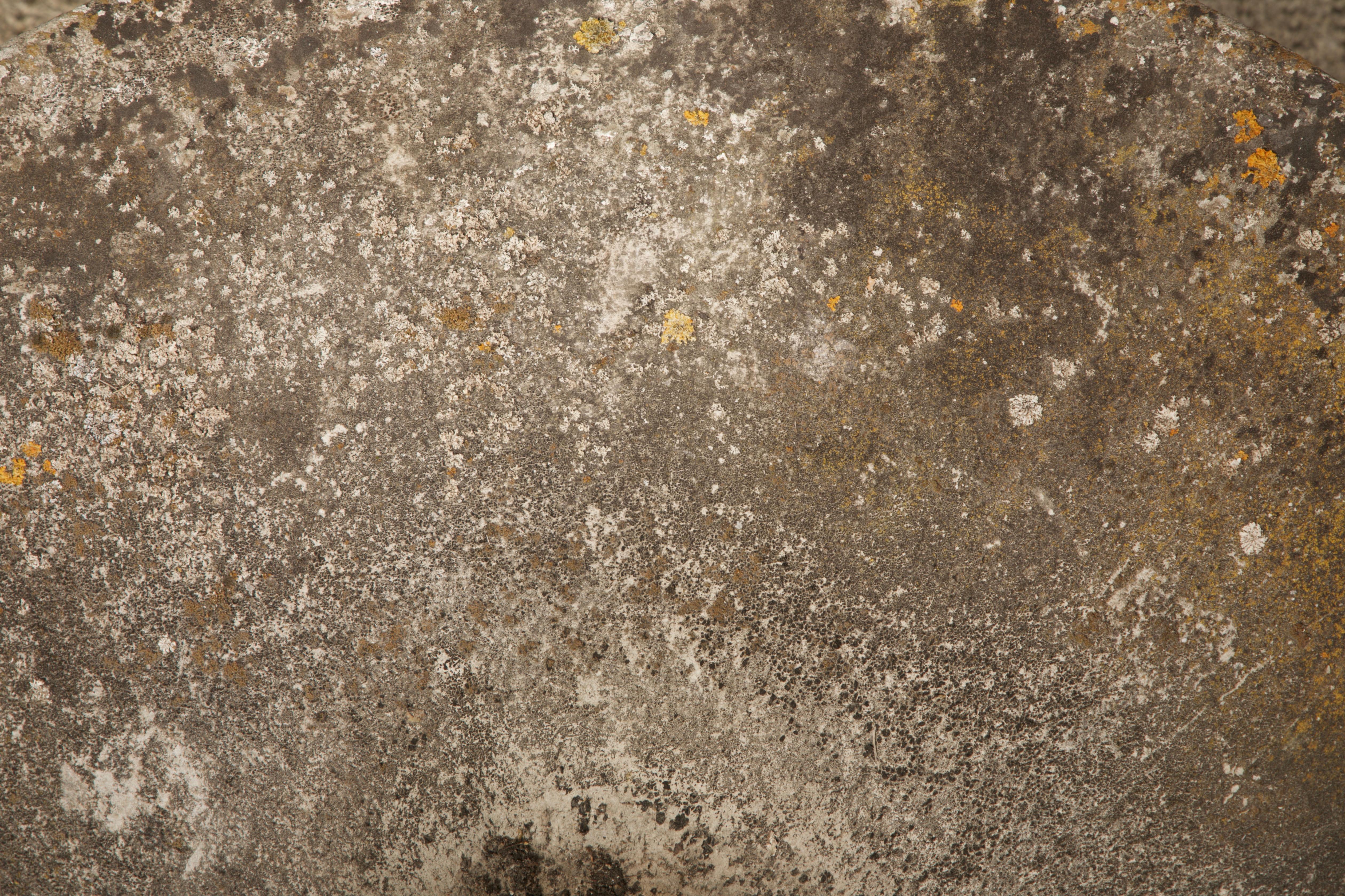 Mid-20th Century Willy Guhl for Eternit Tilted Spindle Concrete Planter, circa 1968 For Sale