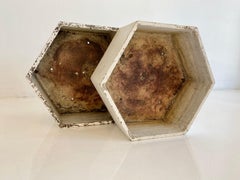 Willy Guhl Hexagon Planter