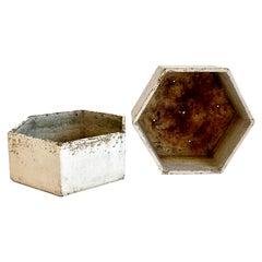 Jardinière hexagonale Willy Guhl