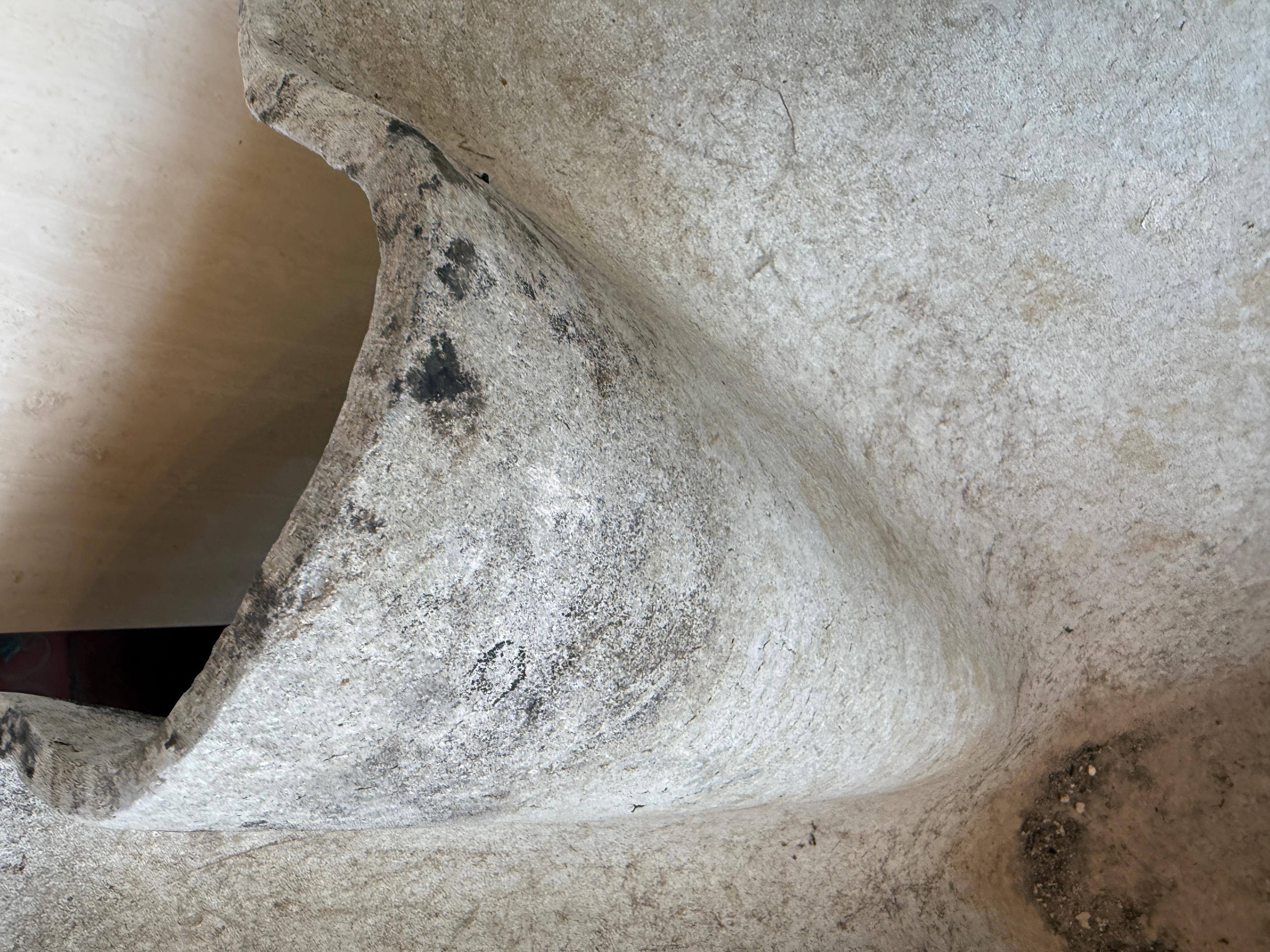 Willy Guhl Grand mouchoir en forme d'oreille d'éléphant Jardinière en vente 3