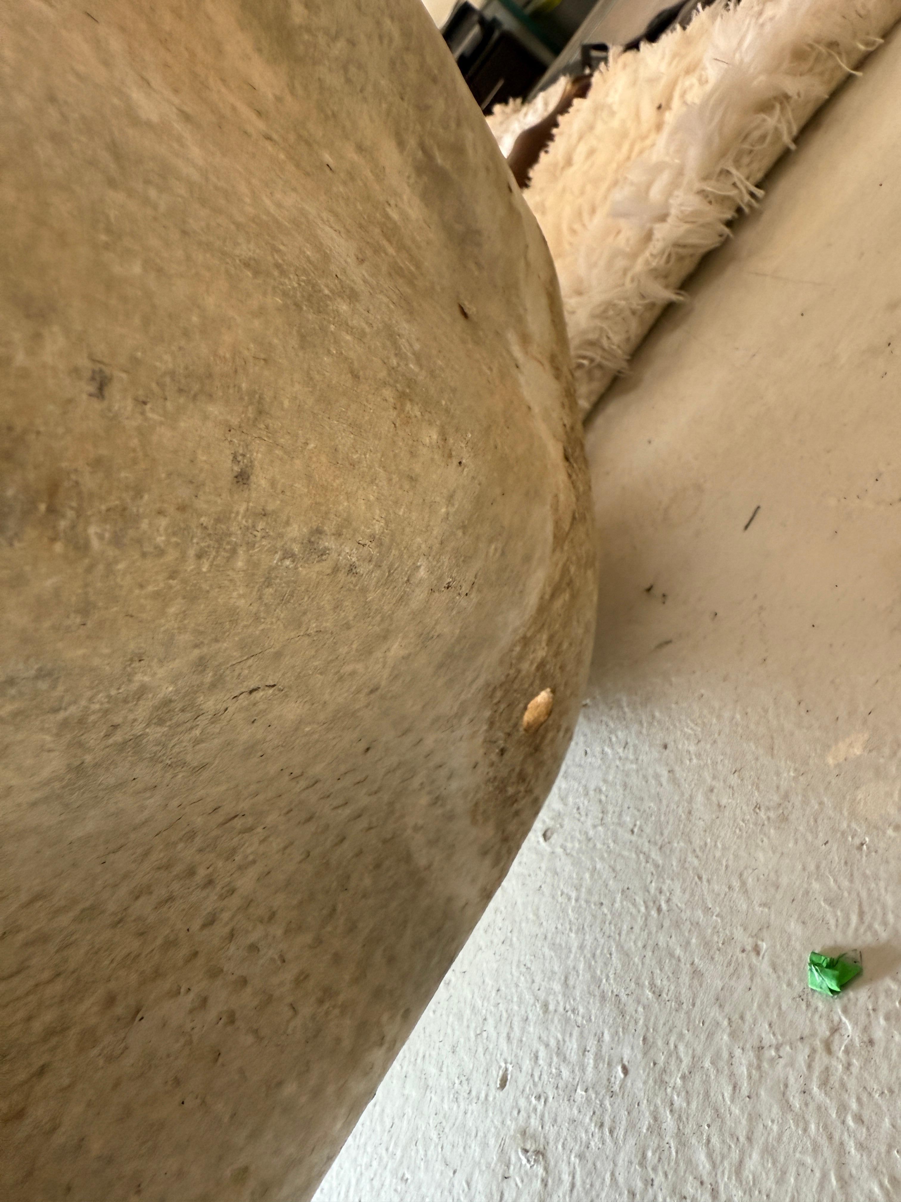 Willy Guhl Grand mouchoir en forme d'oreille d'éléphant Jardinière en vente 8