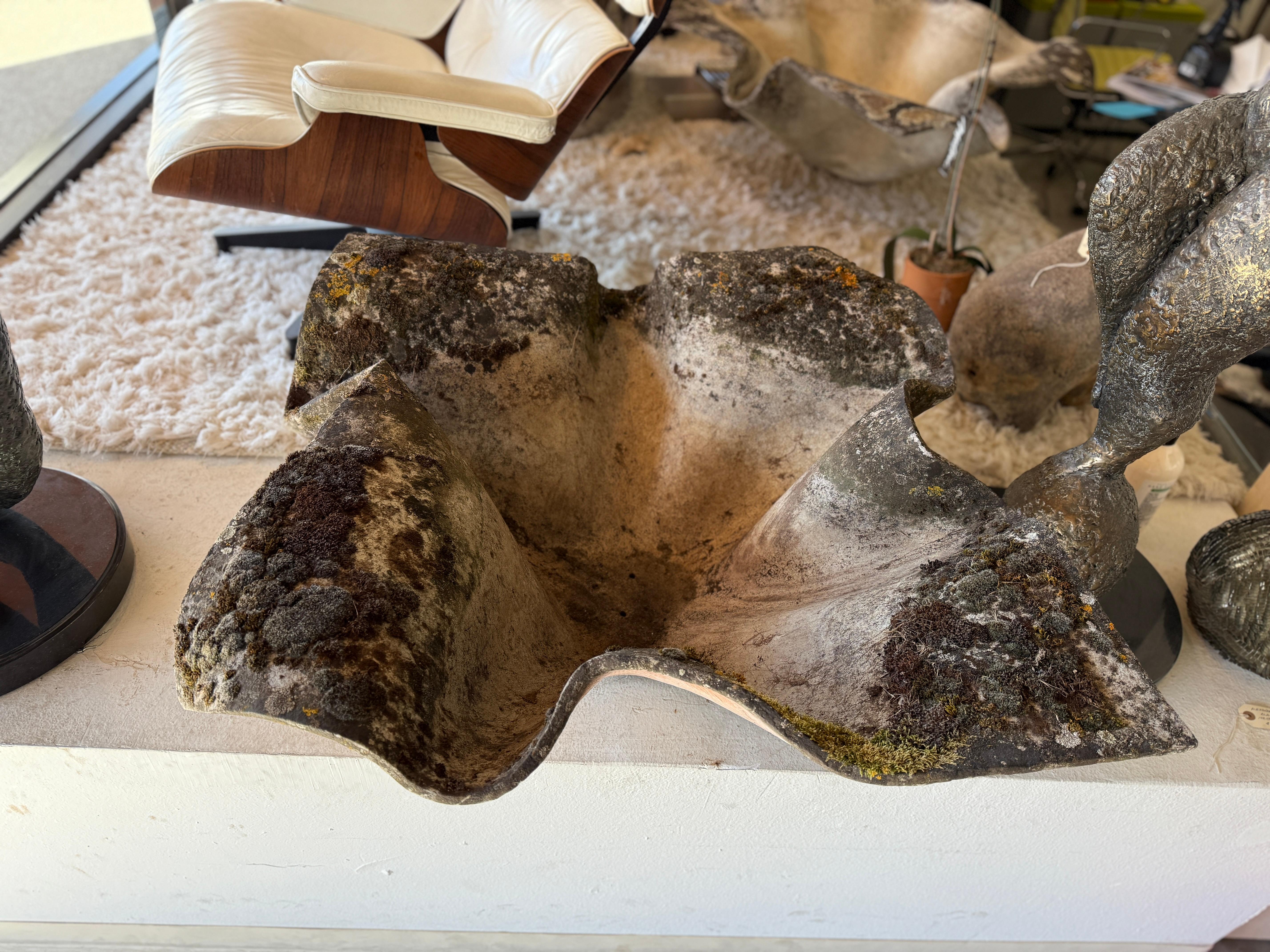 Willy Guhl Macetero grande de pañuelo de elefante con hermosos musgos y líquenes en venta 10