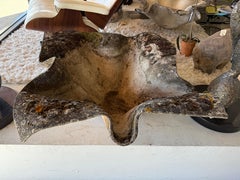 Willy Guhl Large Elephant Handkerchief Planter with Beautiful Moss and Lichen