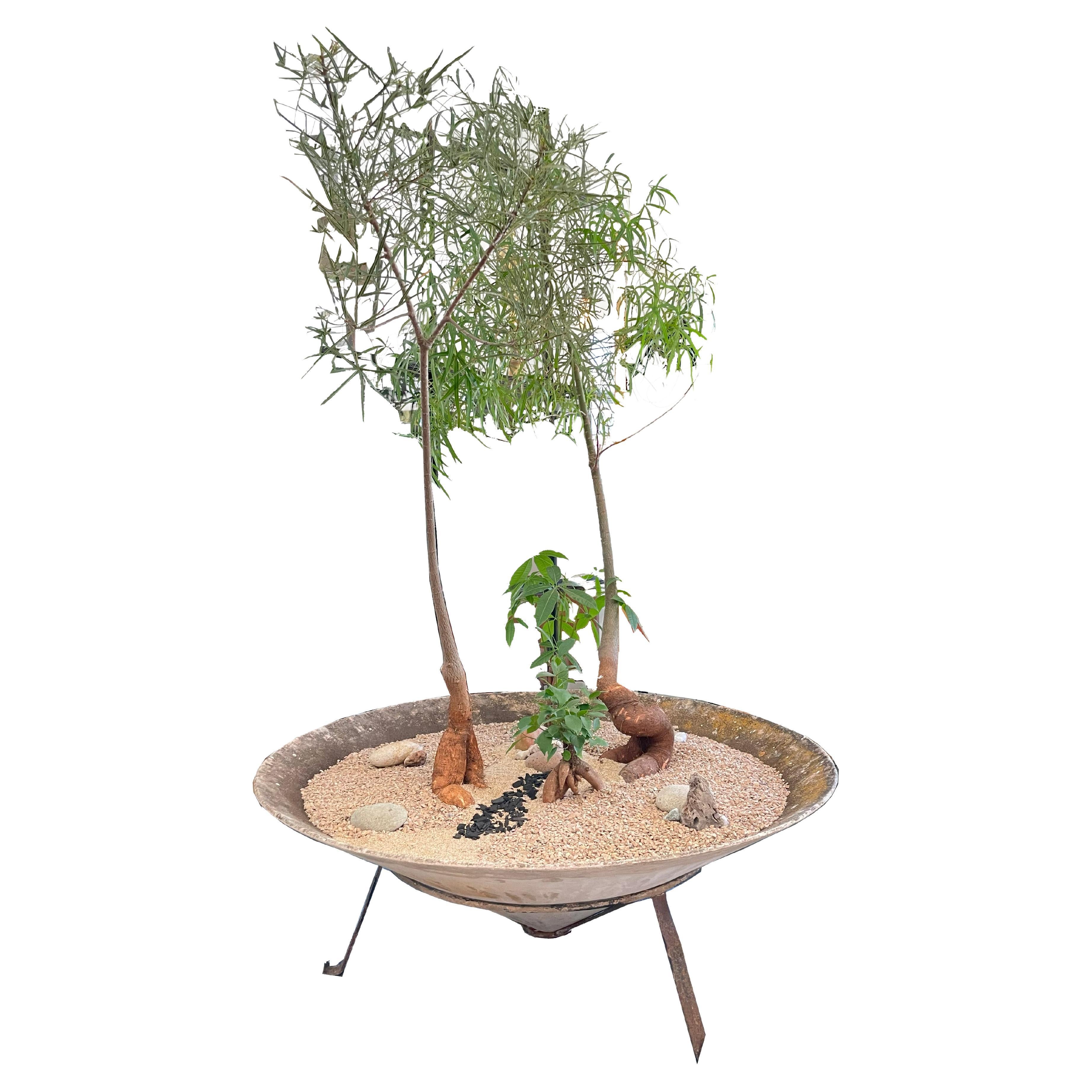 Willy Guhl Large Round Saucer Planter For Sale