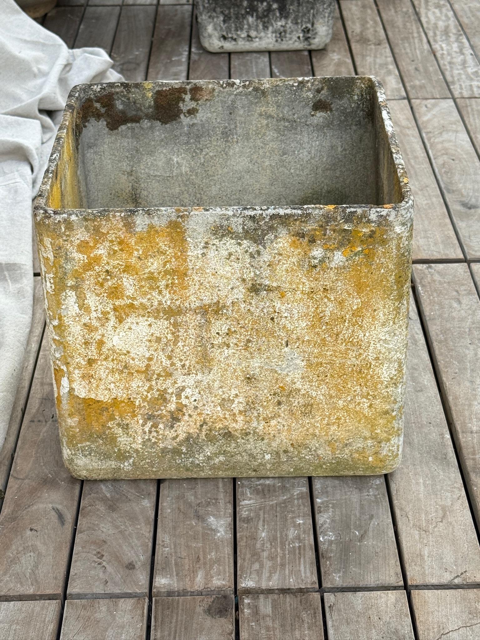 Calcestruzzo Fioriera quadrata in Eternit di metà secolo di Willy Guhl con patina invecchiata in vendita