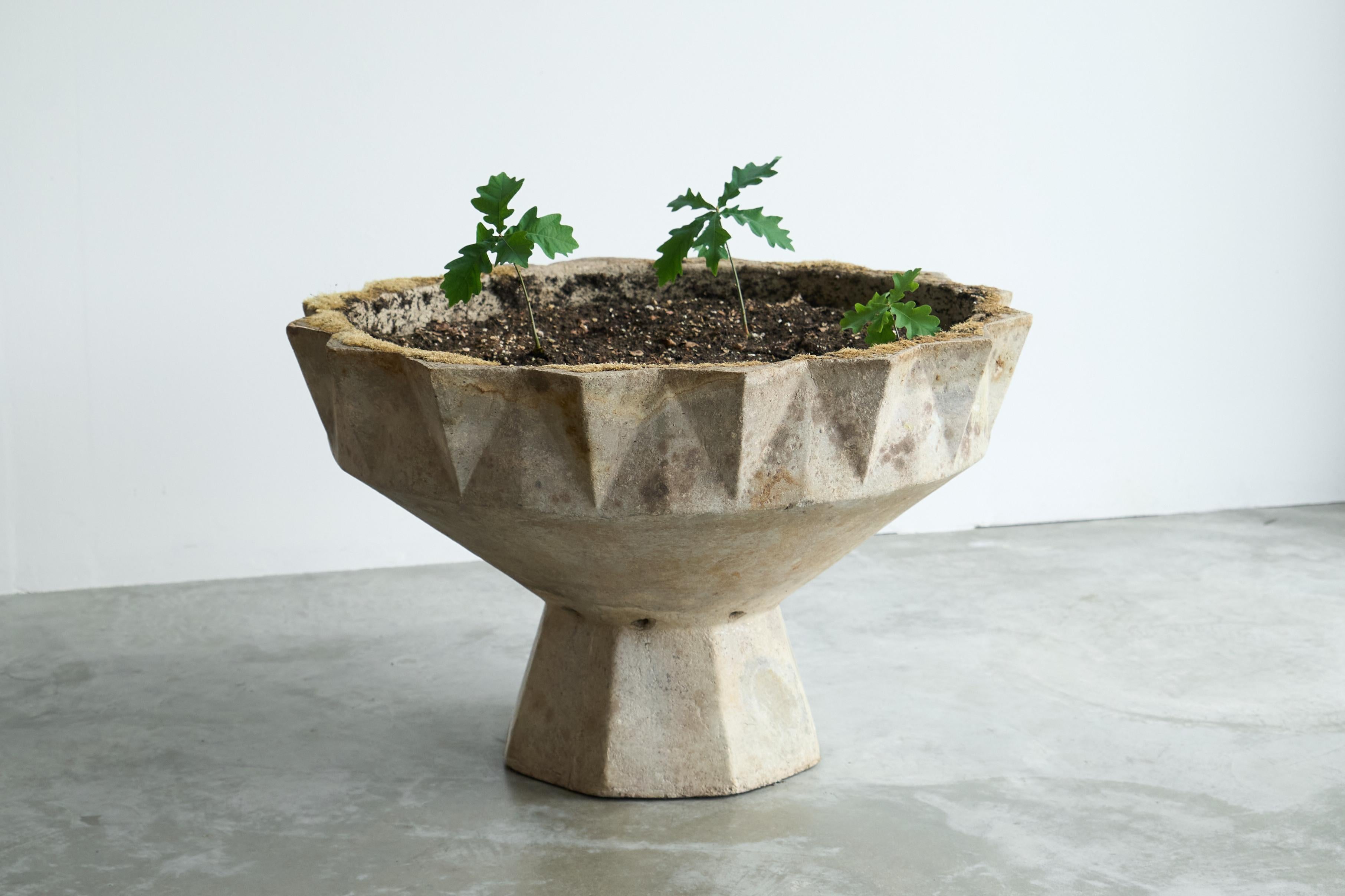 Willy Guhl Monumentaler Kelch Stil Beton Pflanzgefäß 1960s (Schweizerisch) im Angebot