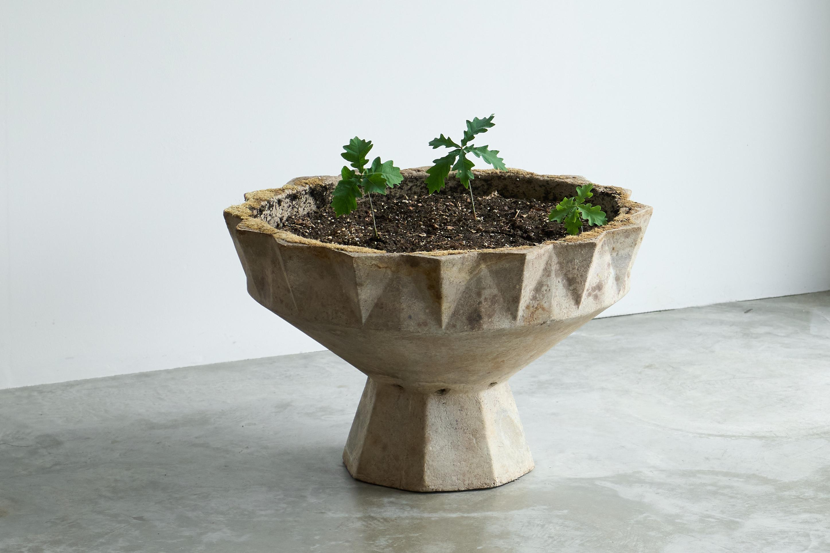 Willy Guhl Monumentaler Kelch Stil Beton Pflanzgefäß 1960s im Zustand „Gut“ im Angebot in Meer, VAN