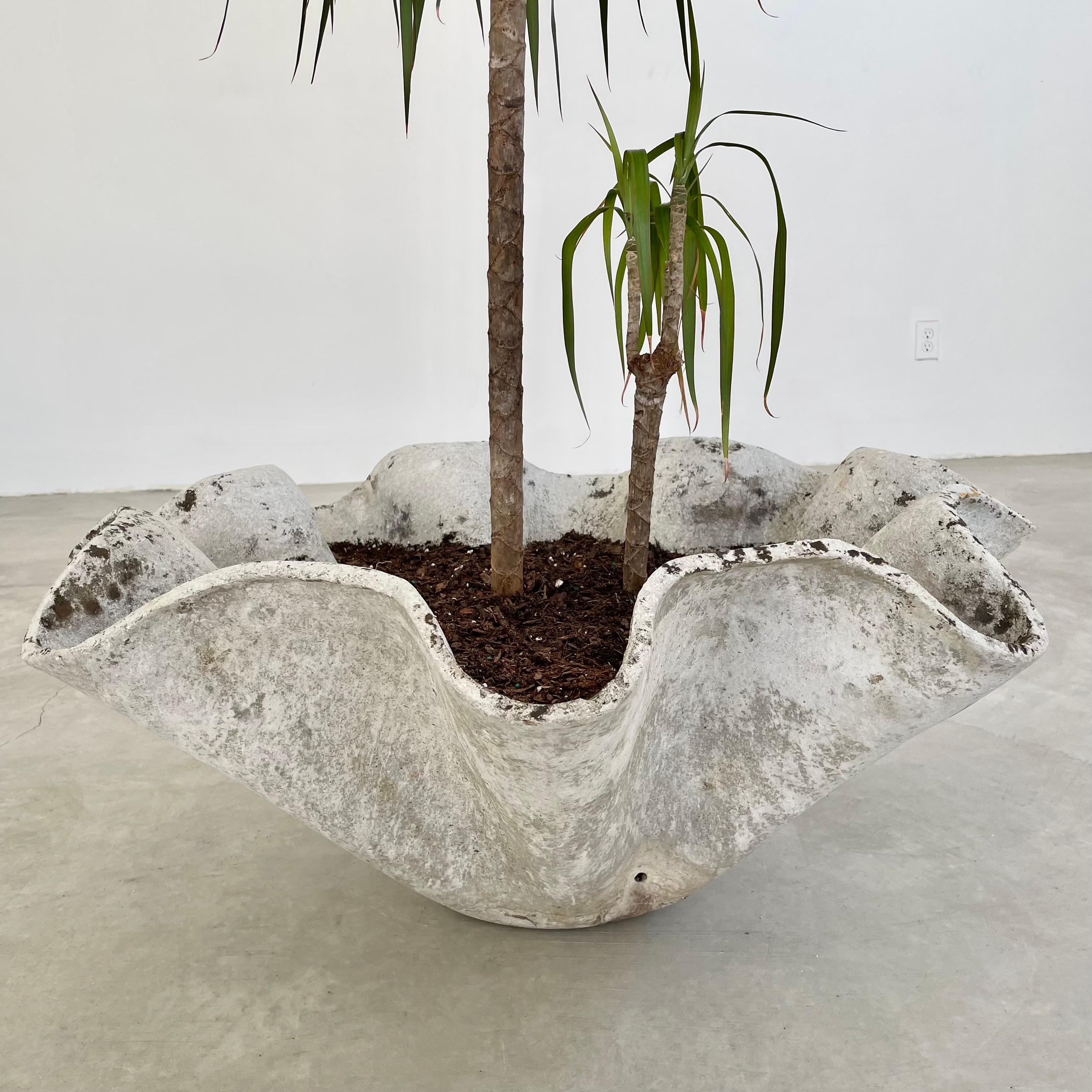 Sculptural biomorphic cement clam planters by Willy Guhl. In the shape of a clam shell. Gorgeous planter in a monumental scale for indoors or outside. Excellent patinas and colors available. 6 available. Priced individually. 
 



  