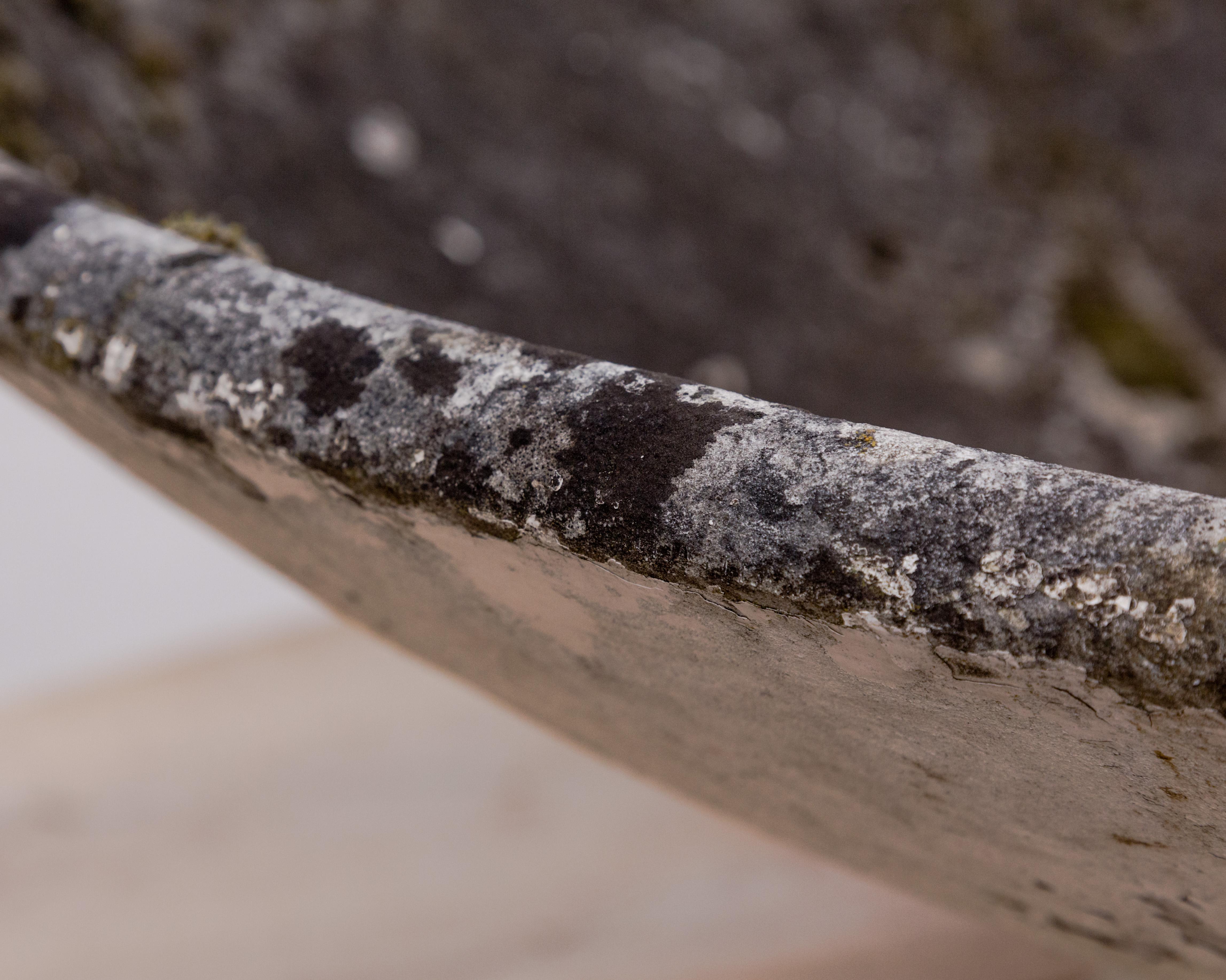 Willy Guhl  Monumentales Pflanzgefäß aus Beton in Vaskenform (Mitte des 20. Jahrhunderts) im Angebot