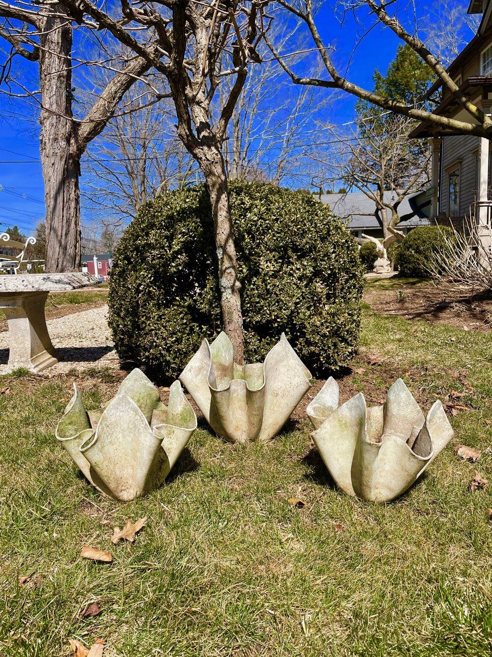 Willy Guhl Mouchoir Planter in Natural Unfinished Surface 4