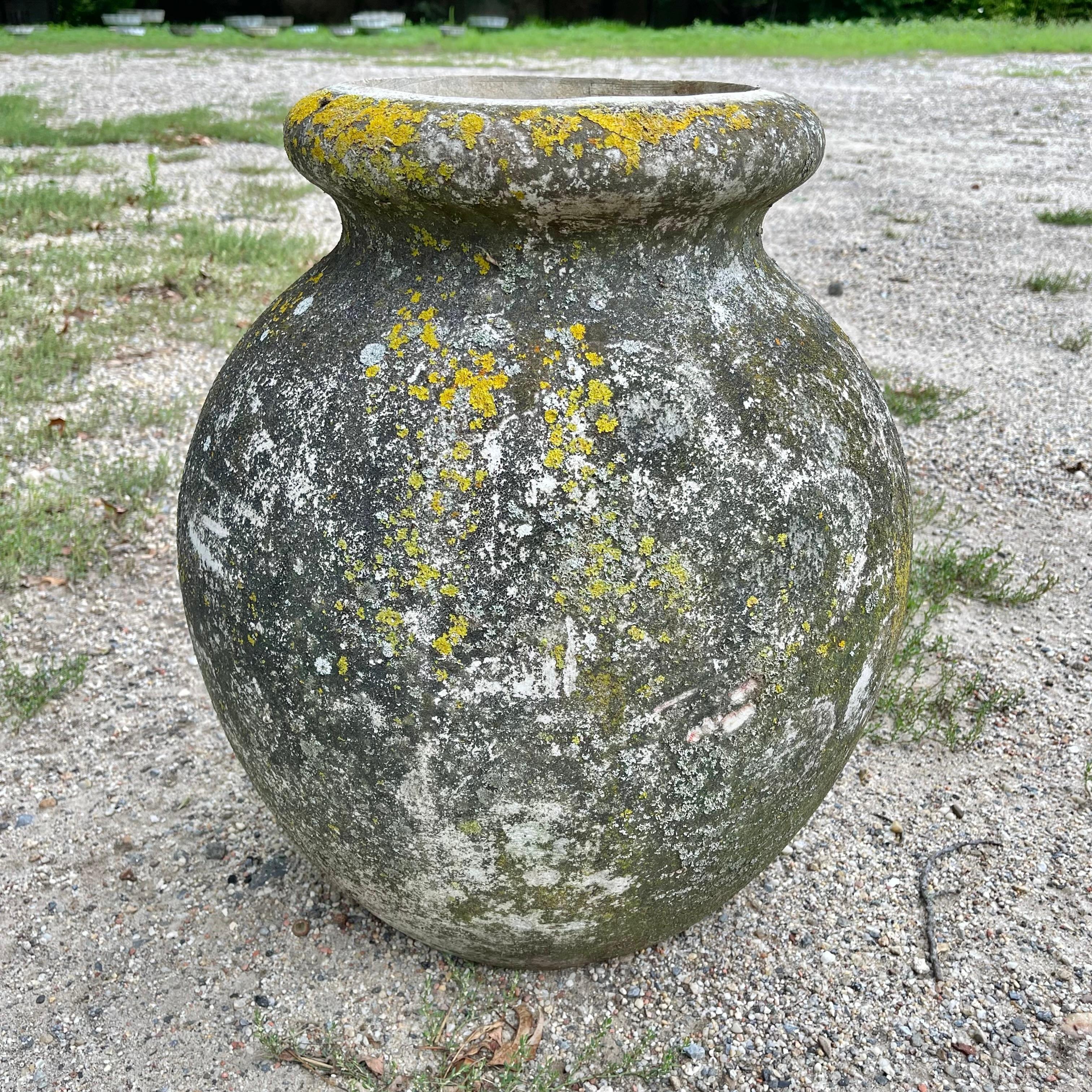 Concrete Willy Guhl Olive Jar Planter, 1960s Switzerland For Sale