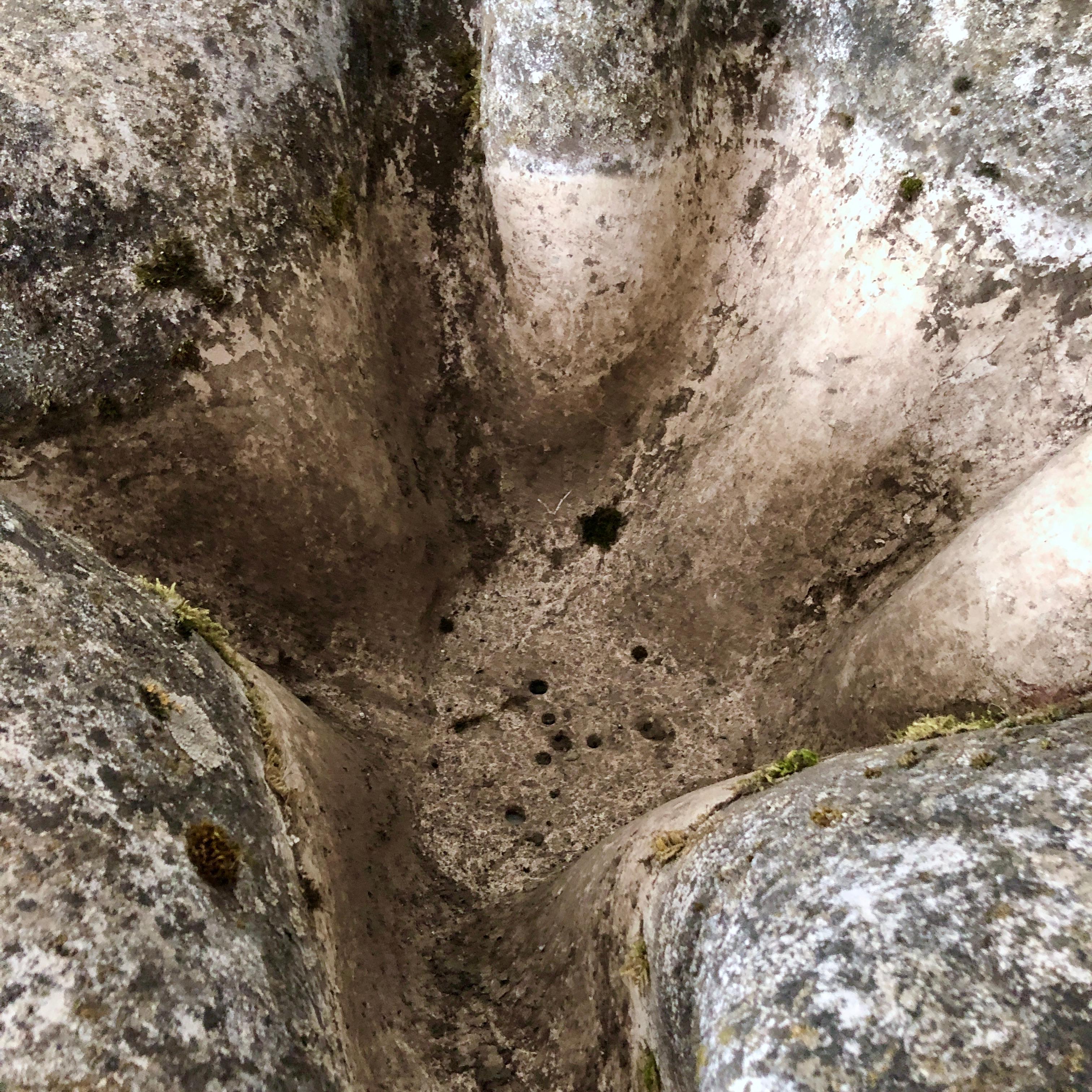 Willy Guhl Planter/Oreille d’ÉLéphant Planter 4