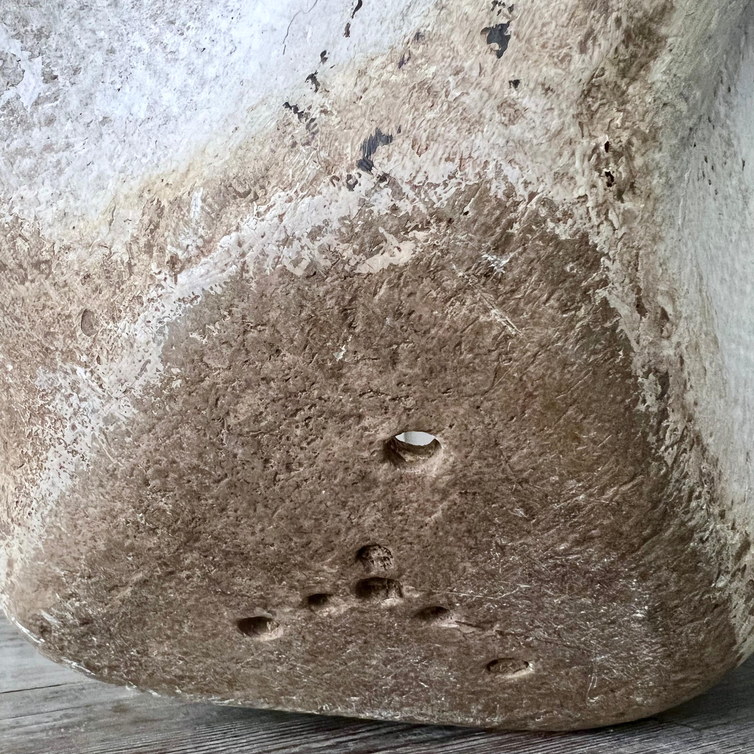 Willy Guhl Planter/Oreille d’ÉLéphant Planter 5