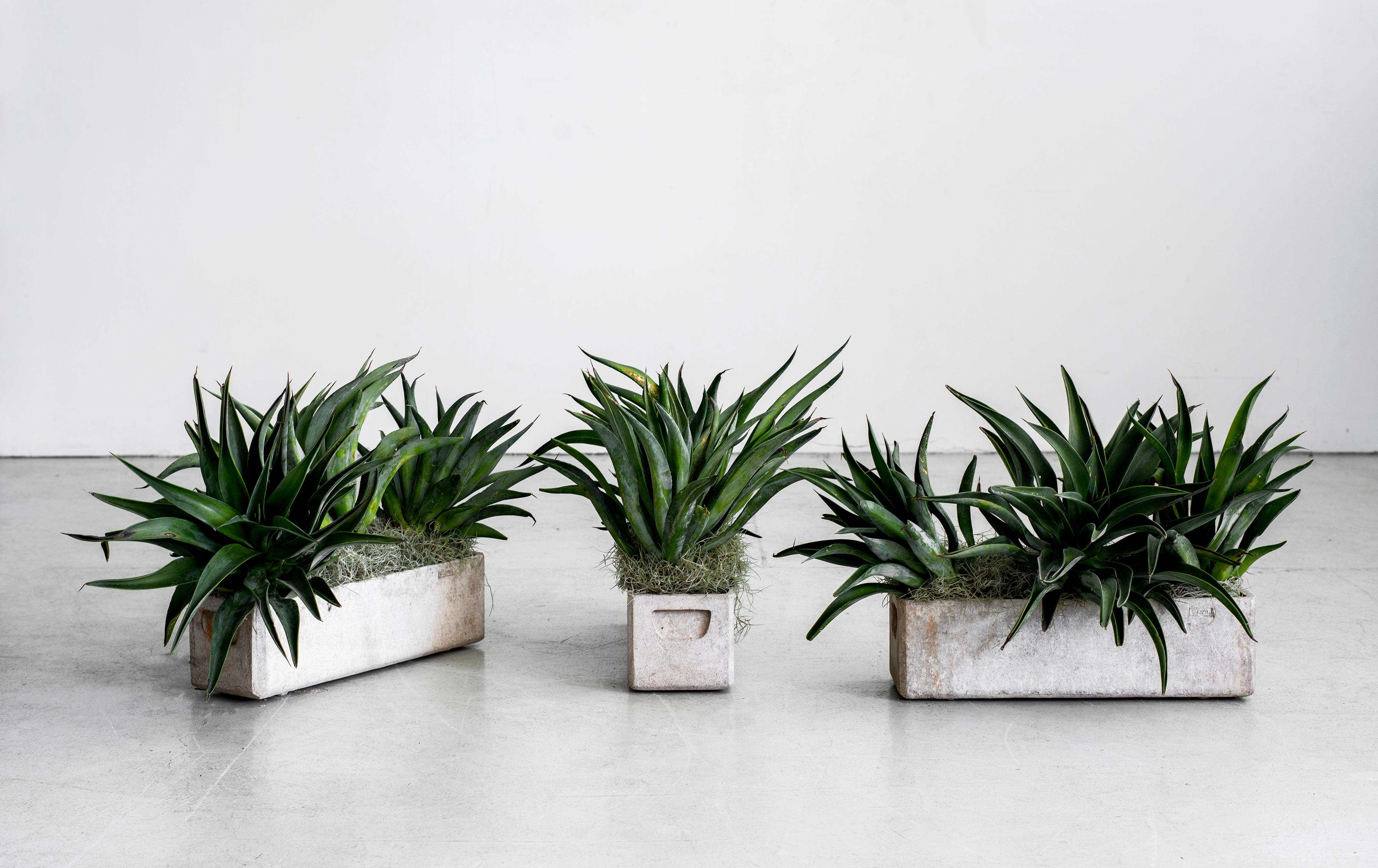 3 long narrow rectangular planters by Willy Guhl for Eternit 
Priced individually - 3 available.