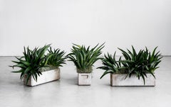 Willy Guhl Planters
