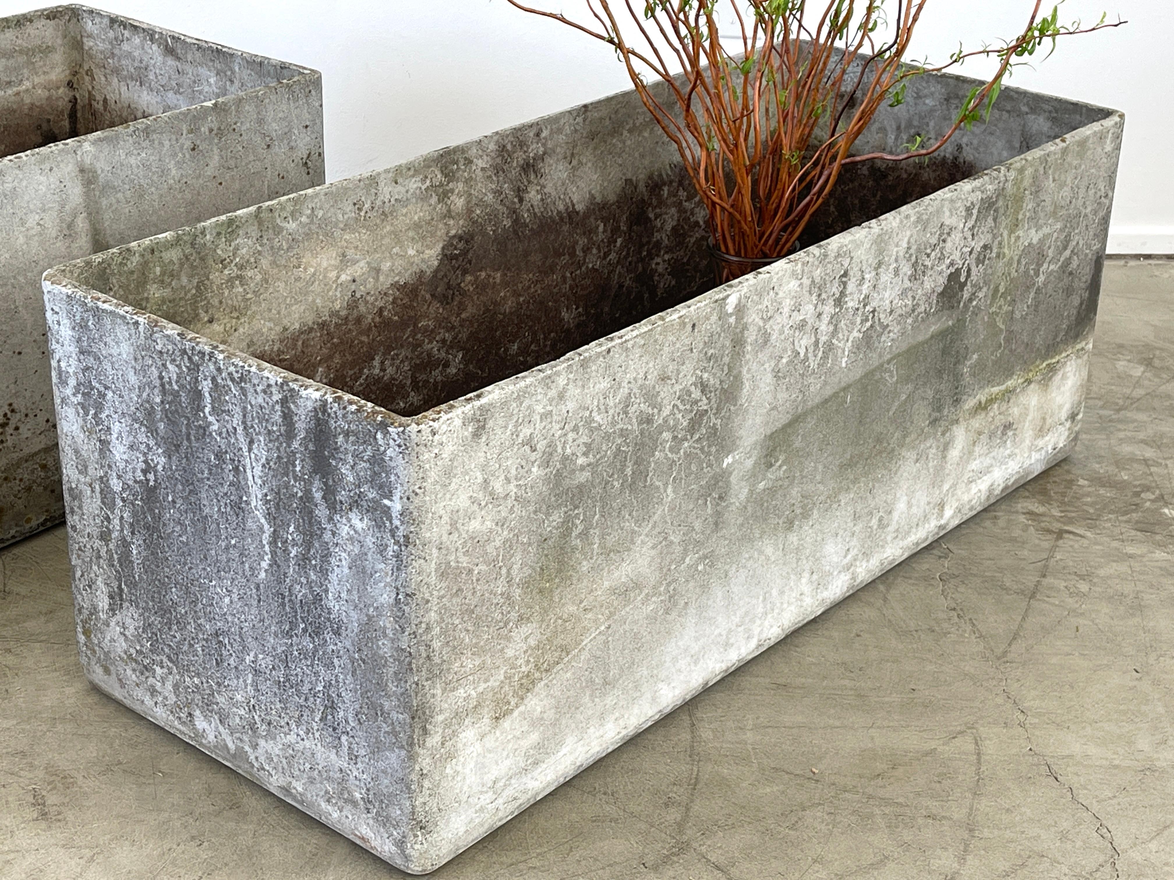 Concrete Willy Guhl Planters