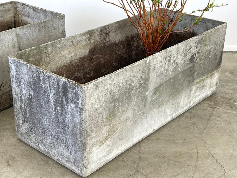 Concrete Willy Guhl Planters For Sale