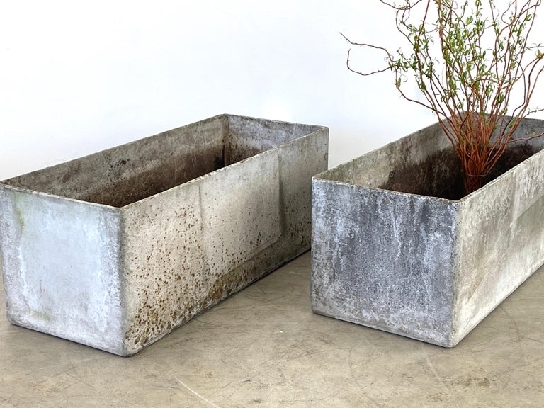 Willy Guhl Planters For Sale 3