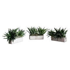 Willy Guhl Planters