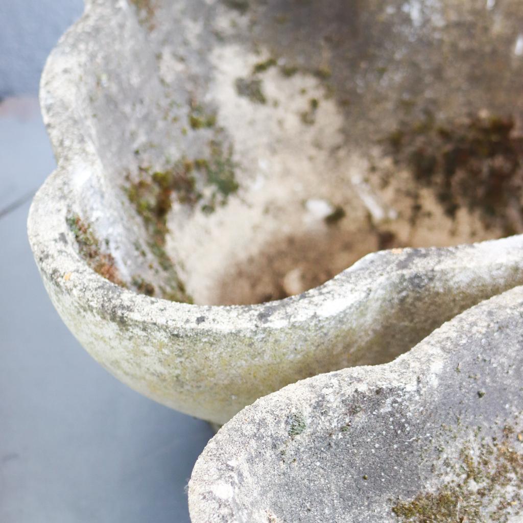 Willy Guhl Scalloped Concrete Planters For Sale 5