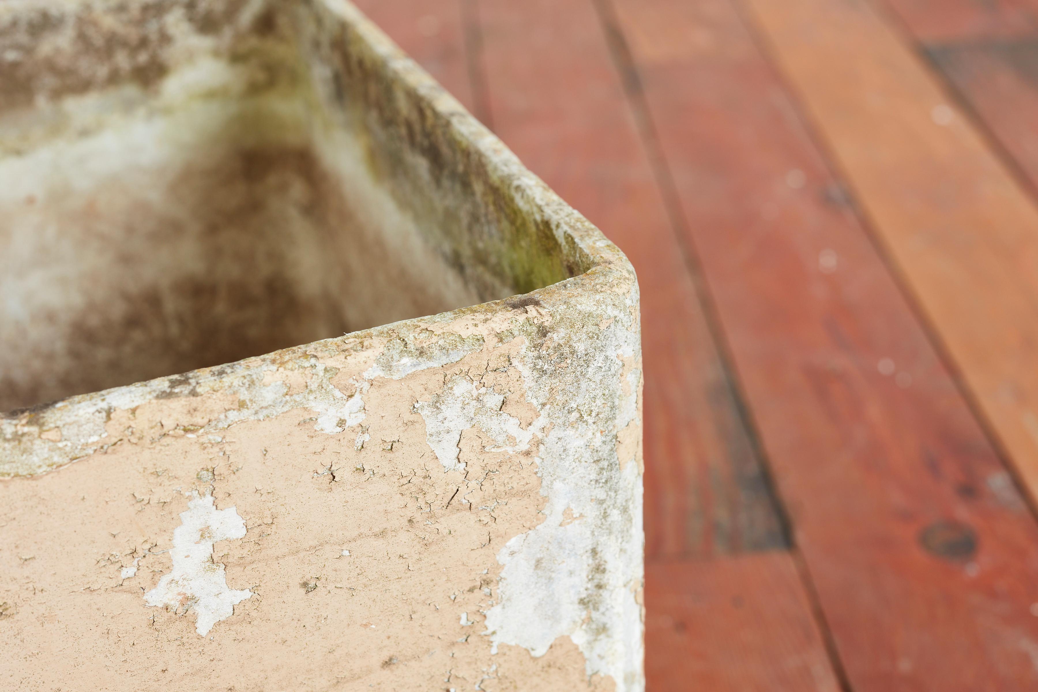 Willy Guhl Square Square Planters 4