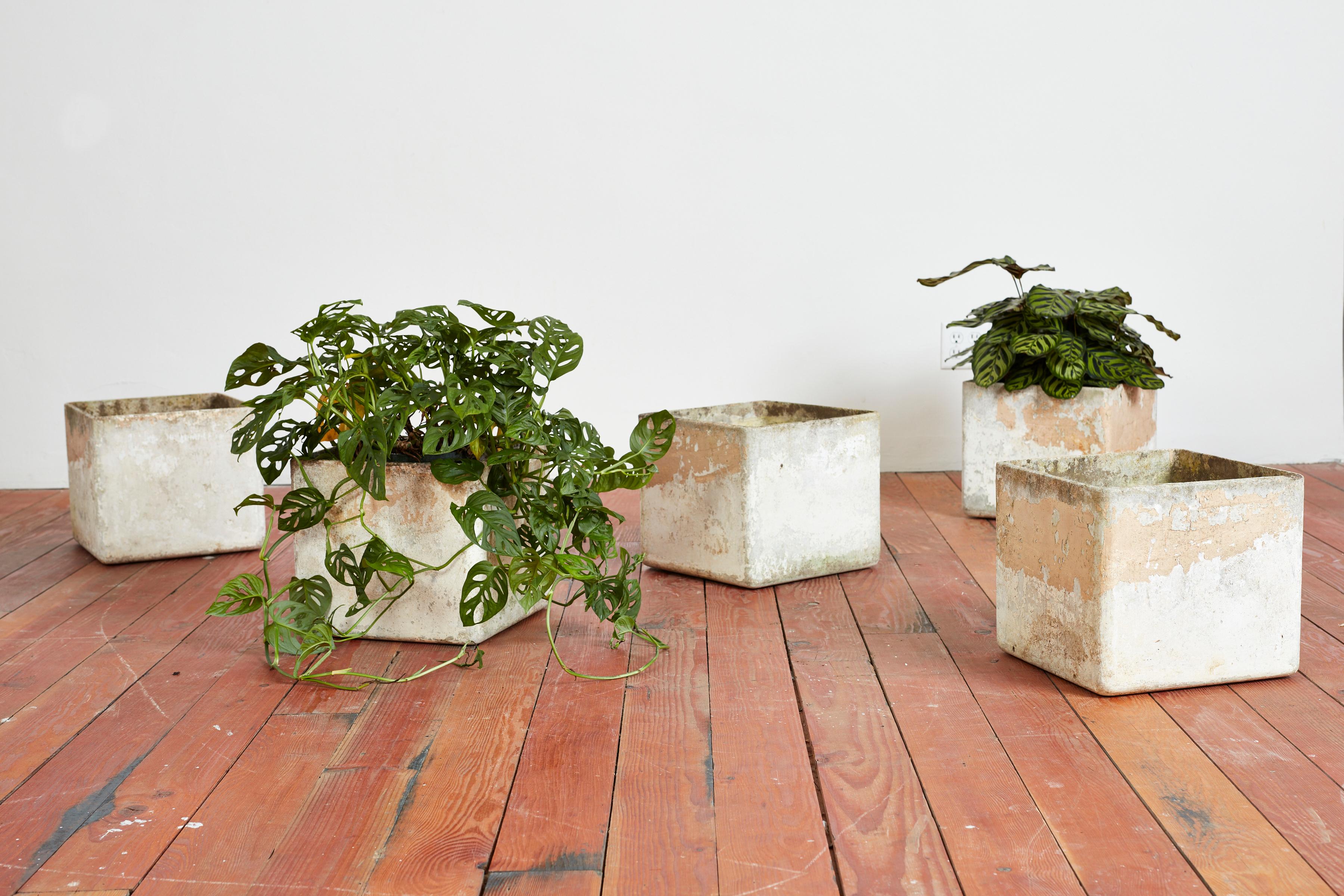 The perfectly patina'd square Willy Guhl planter
Priced Individually.