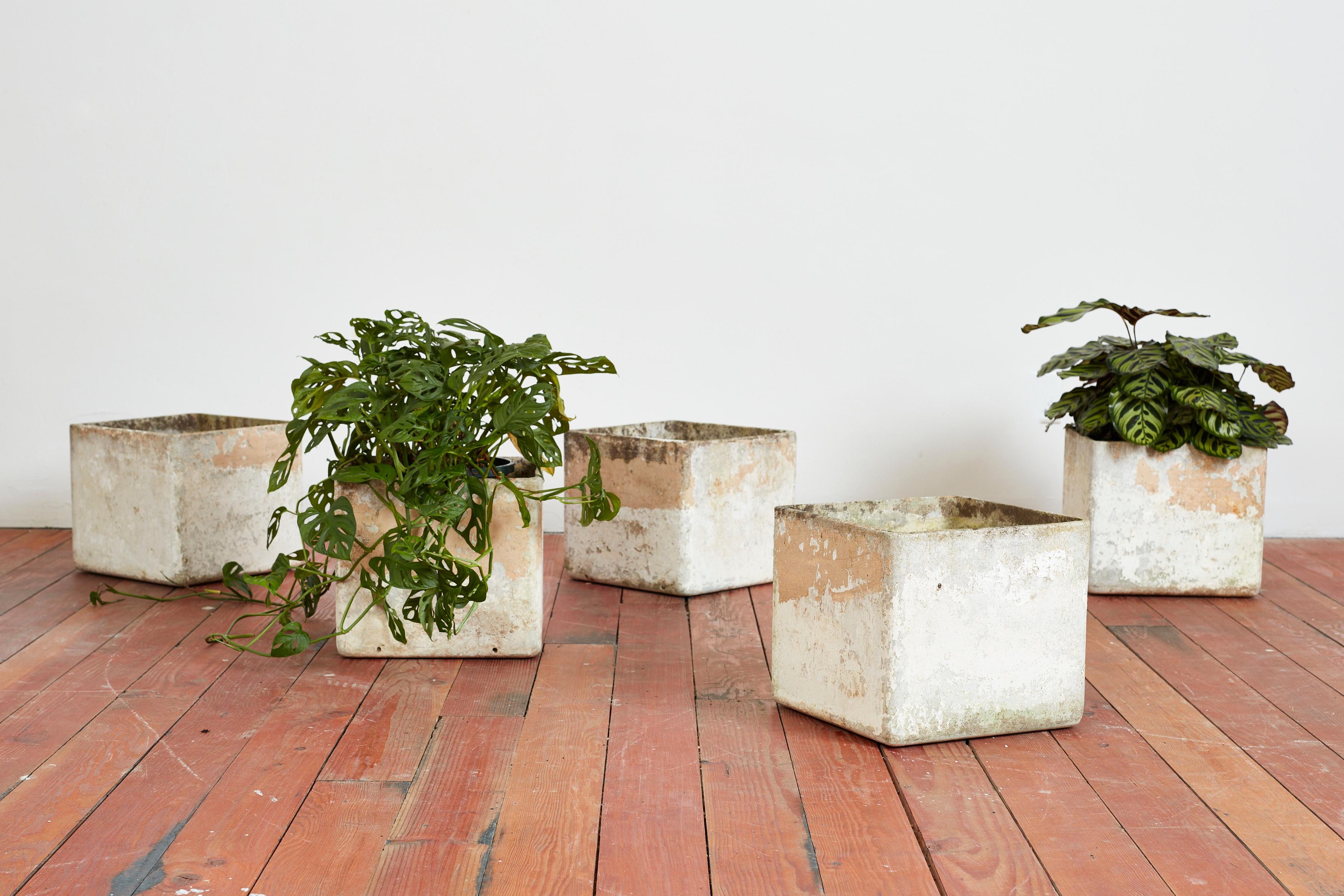 Mid-20th Century Willy Guhl Square Square Planters For Sale