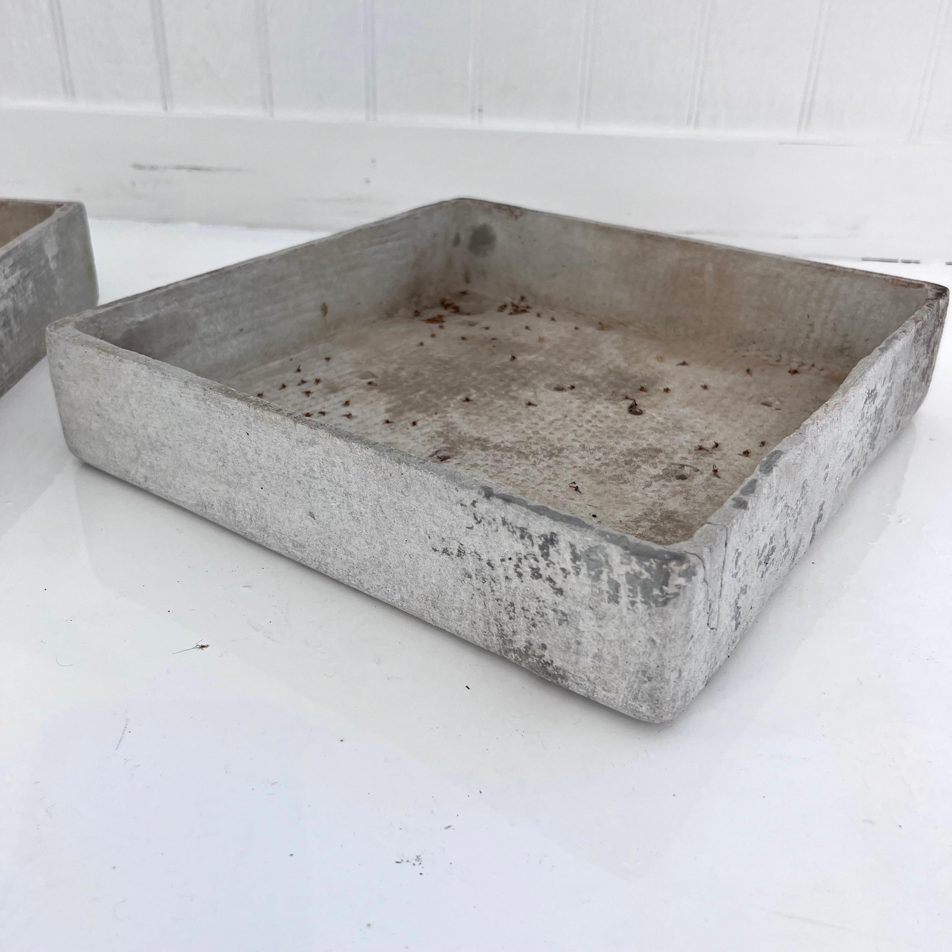 Mid-20th Century Willy Guhl Square Tray Planters, 1960s Switzerland For Sale