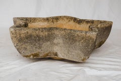 Willy Guhl Star Planter