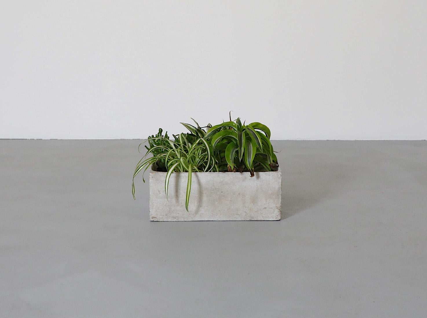Willy Guhl Style Square Concrete Planter For Sale 7