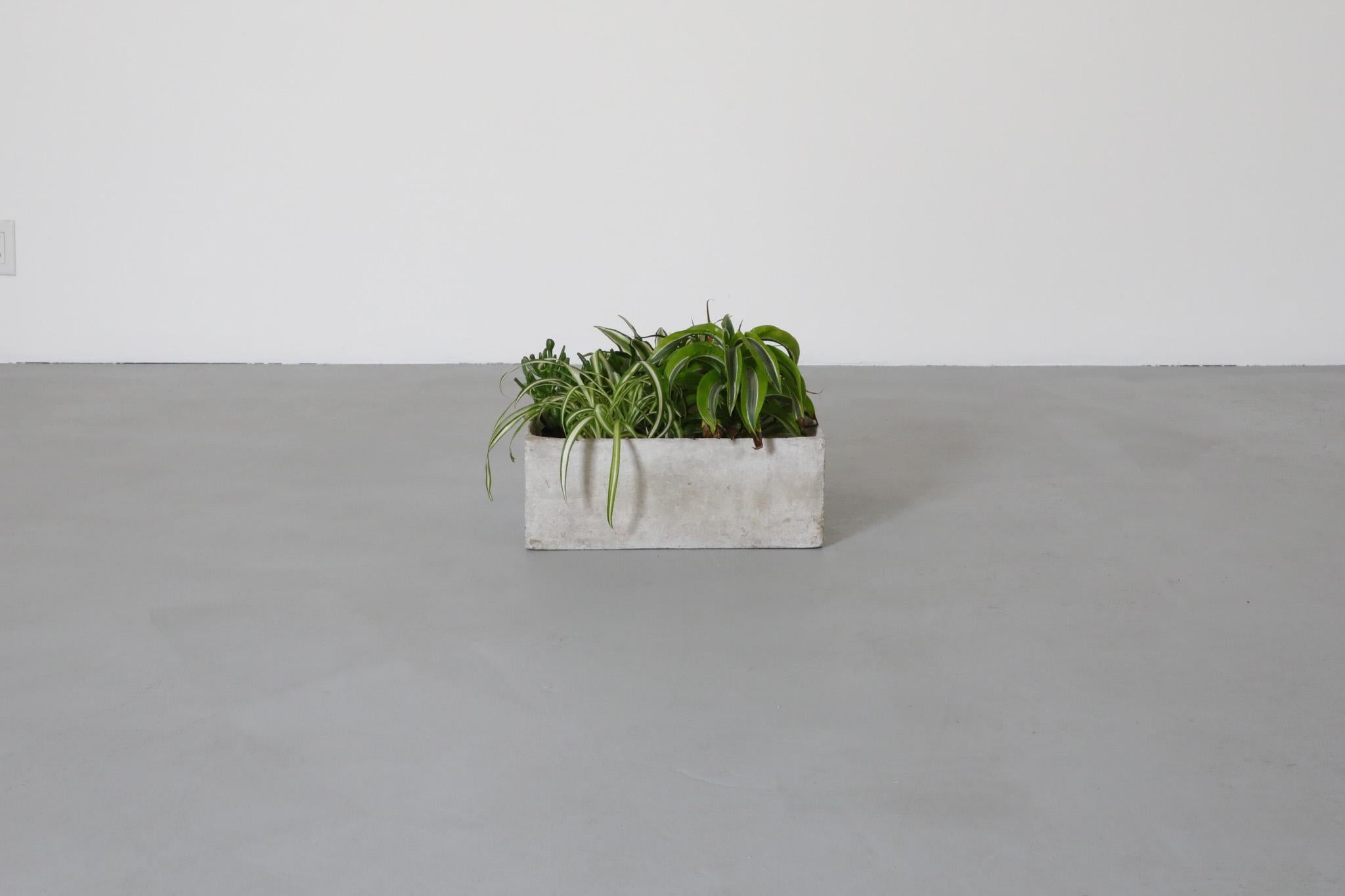 Mid-Century, Willy Guhl inspired, square concrete planter. Handsomely minimalist indoor or outdoor planter, stamped with 'JM' logo. This planter is in original condition and has some visible wear, chips and imperfections that greatly add to its raw,