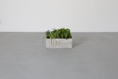 Mid-Century Willy Guhl Style Square Concrete Planter