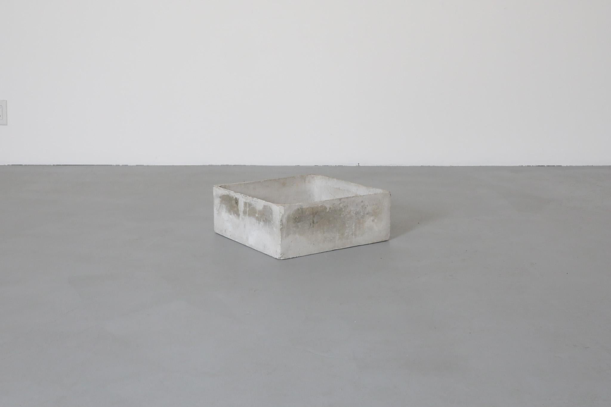 Viereckiger Beton-Pflanzkübel im Willy Guhl-Stil aus der Jahrhundertmitte (Mitte des 20. Jahrhunderts) im Angebot