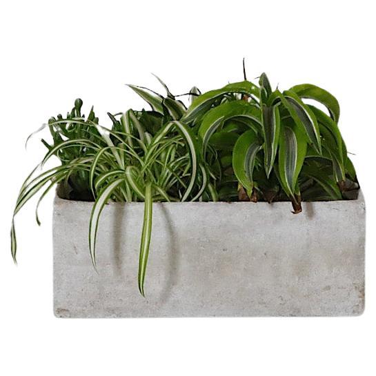 Willy Guhl Style Square Concrete Planter For Sale