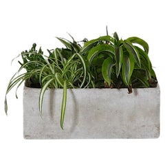 Used Willy Guhl Style Square Concrete Planter