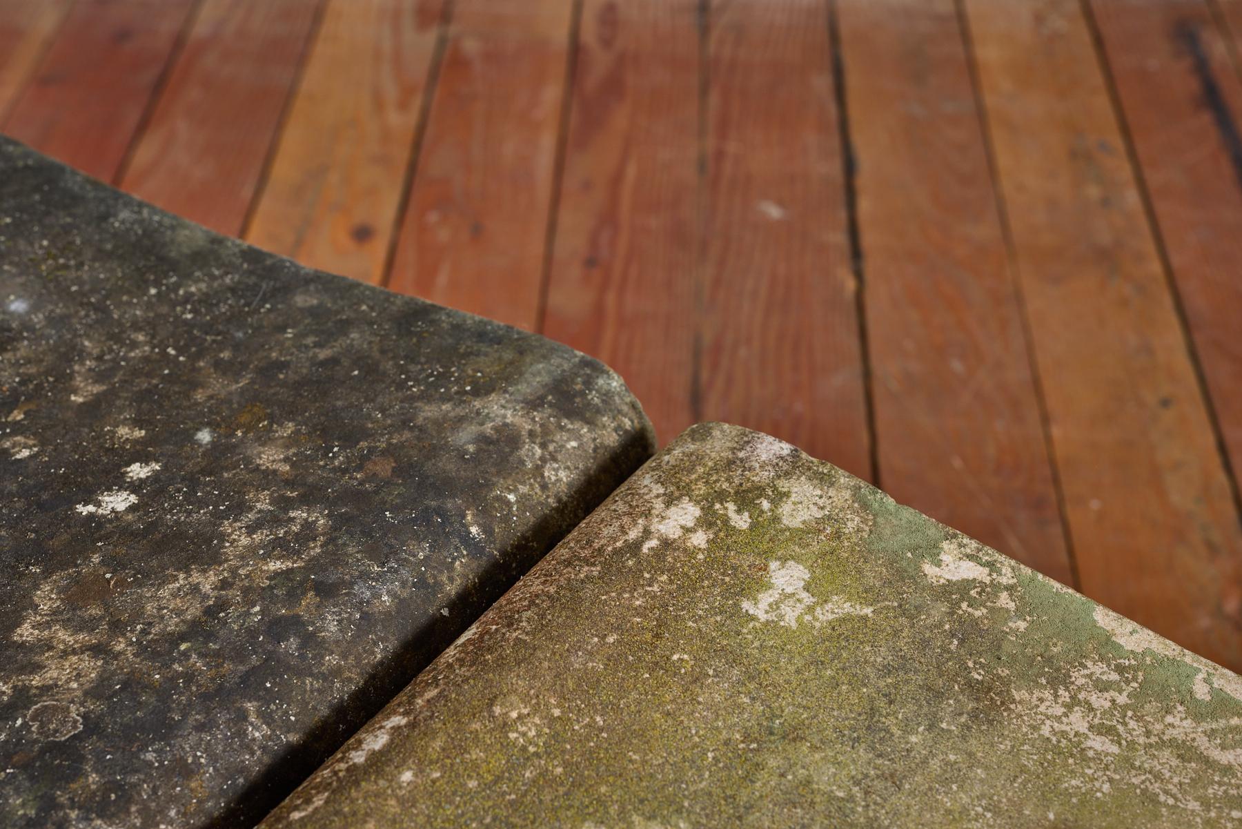 Cement Willy Guhl Table For Sale