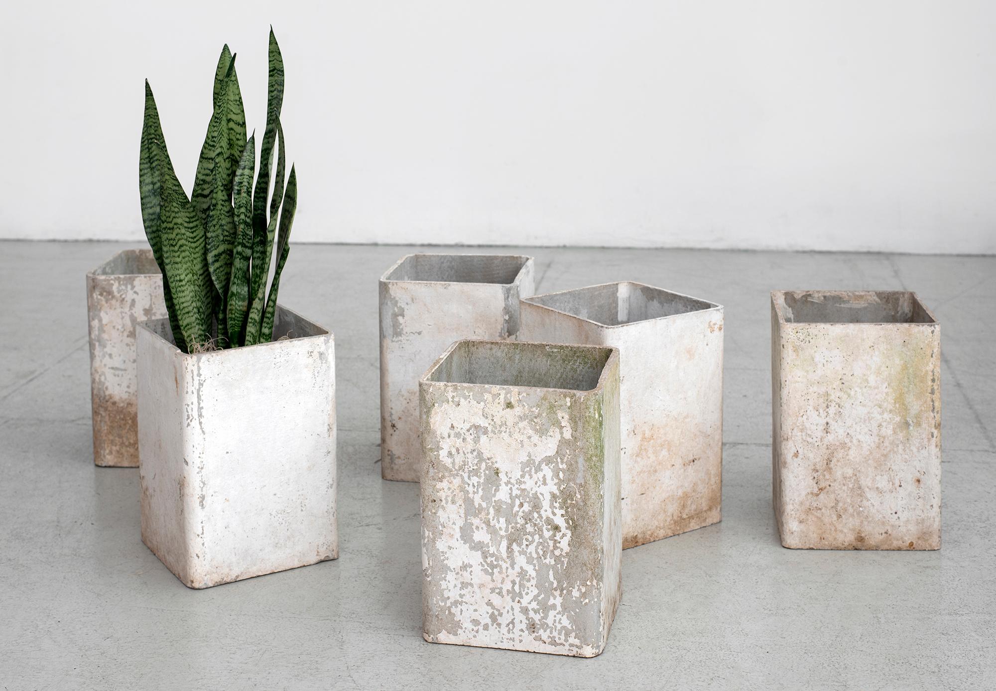 Tall shaped Concrete planters with holes for drainage by Willy Guhl 
Great patina
Great function.