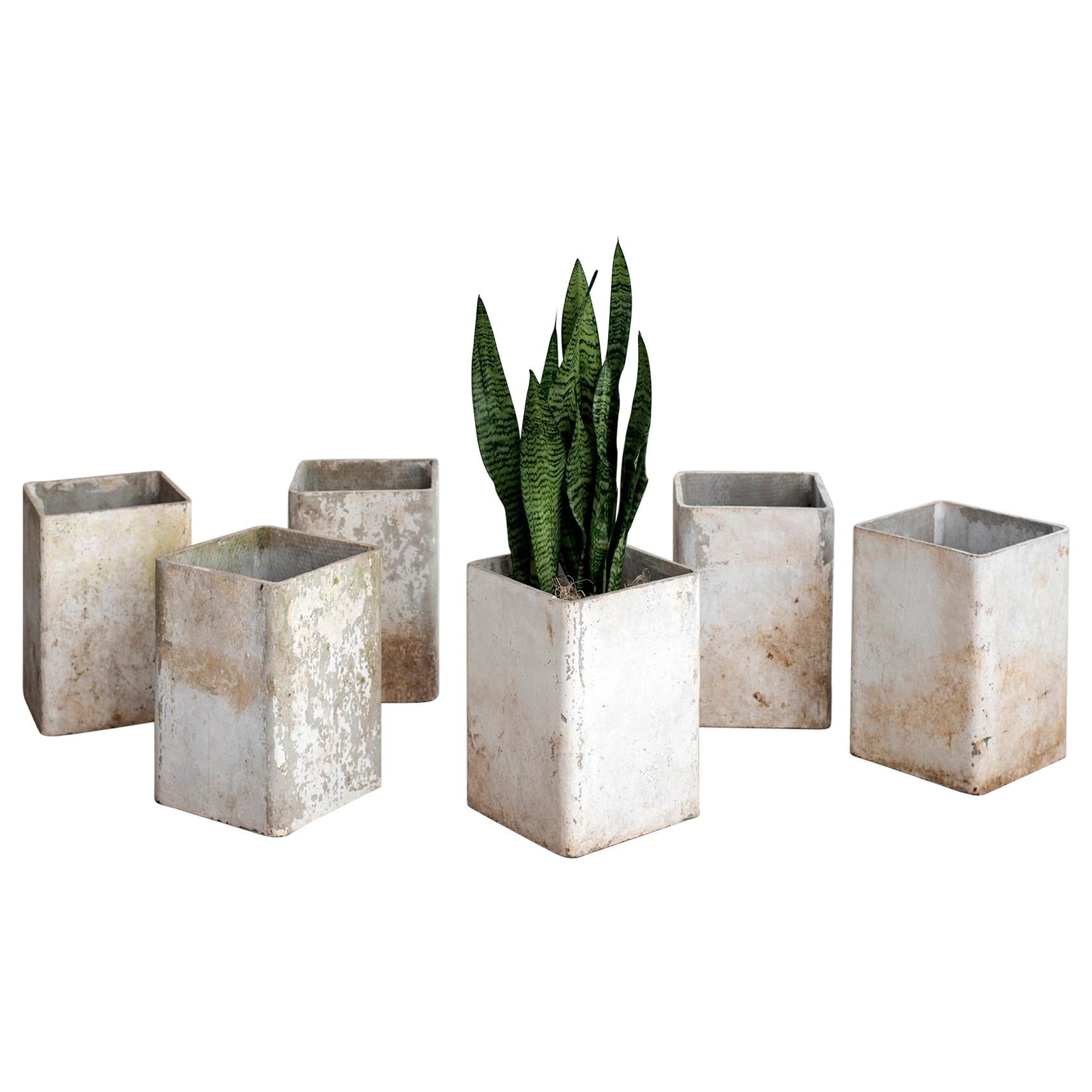 Willy Guhl Tall Cube Planters