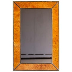 Willy Rizzo "Alveo Range" Vintage Italian Burl Elm Brass Mirror, circa 1970