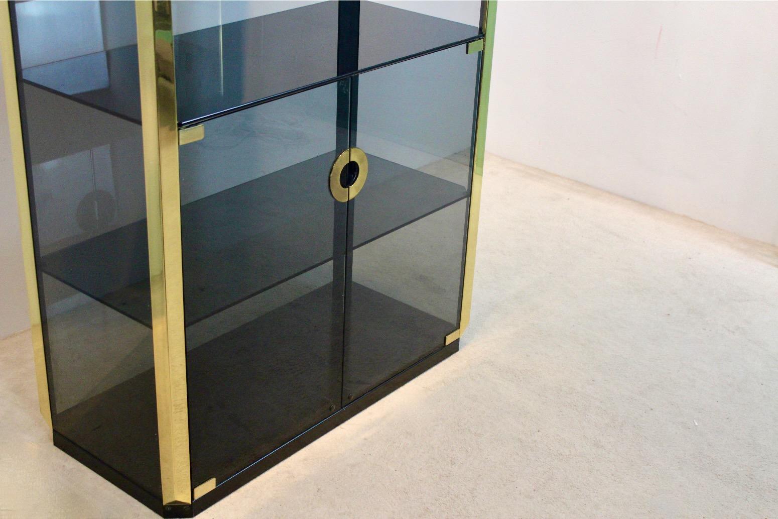 Willy Rizzo Smoked Glass Cabinet for Mario Sabot, 1970 For Sale 4