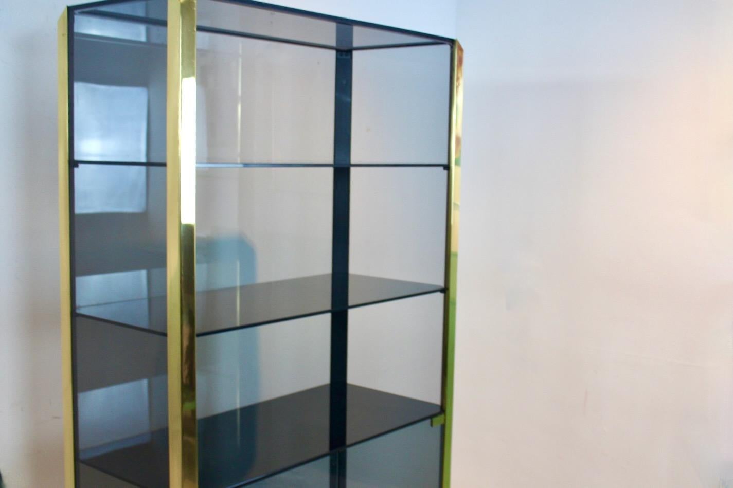 Belgian Willy Rizzo Smoked Glass Cabinet for Mario Sabot, 1970 For Sale