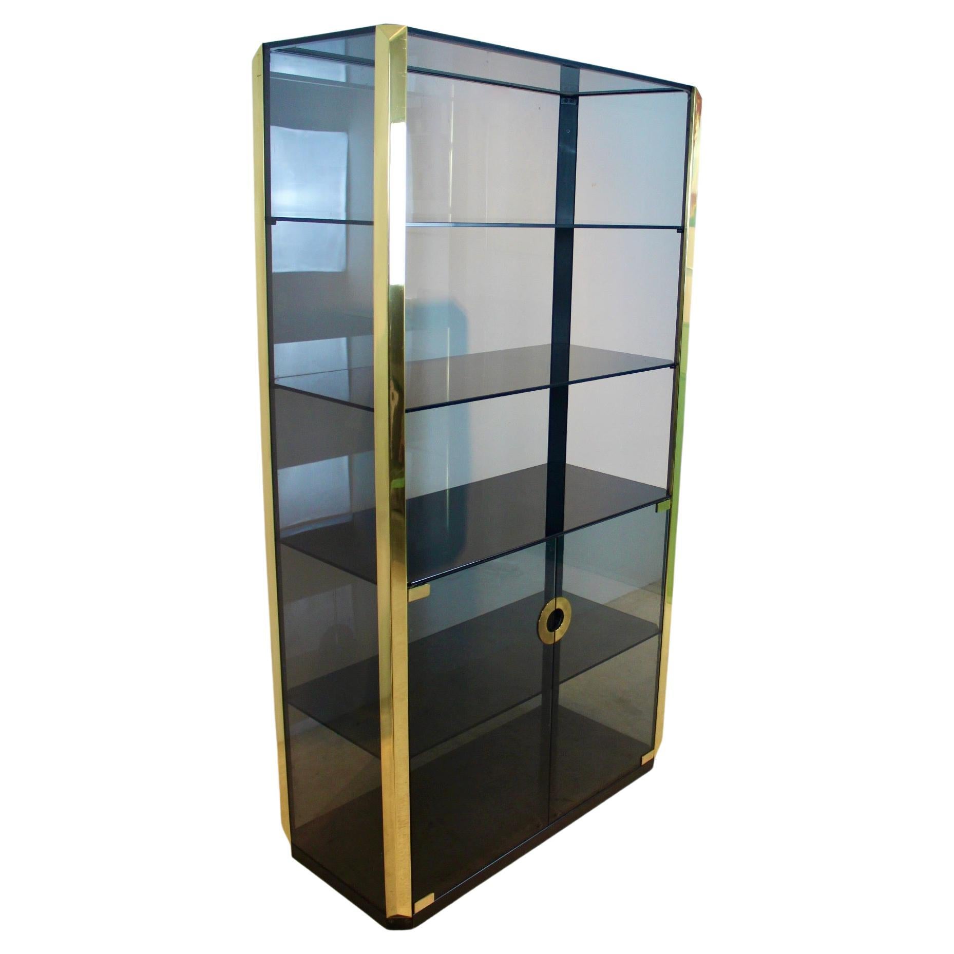 Willy Rizzo Smoked Glass Cabinet for Mario Sabot, 1970 For Sale