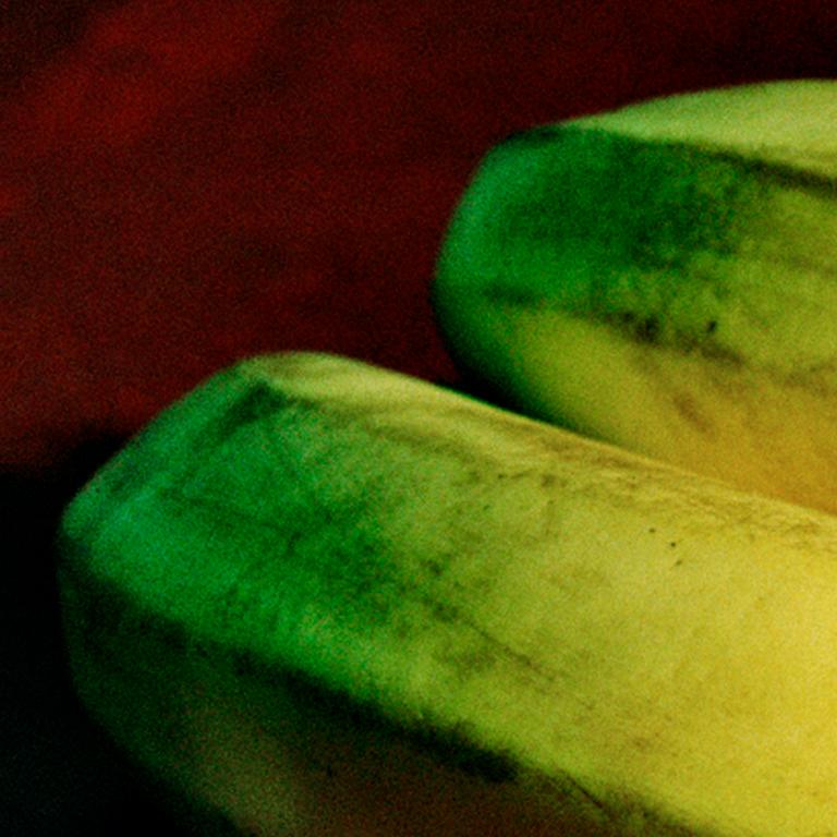 Bananas - 21st Century, Contemporary, Miniature Photography on Plexi 1