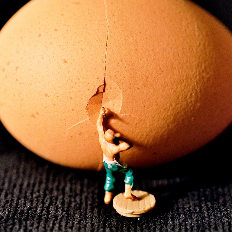 Egg - 21st Century, Contemporary, Miniature Photography on Plexi 1