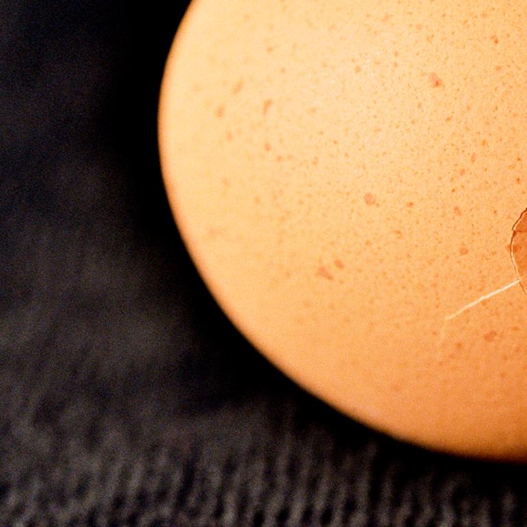 Egg - 21st Century, Contemporary, Miniature Photography on Plexi 2