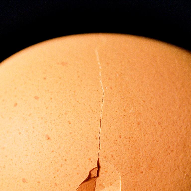 Egg - 21st Century, Contemporary, Miniature Photography on Plexi 4