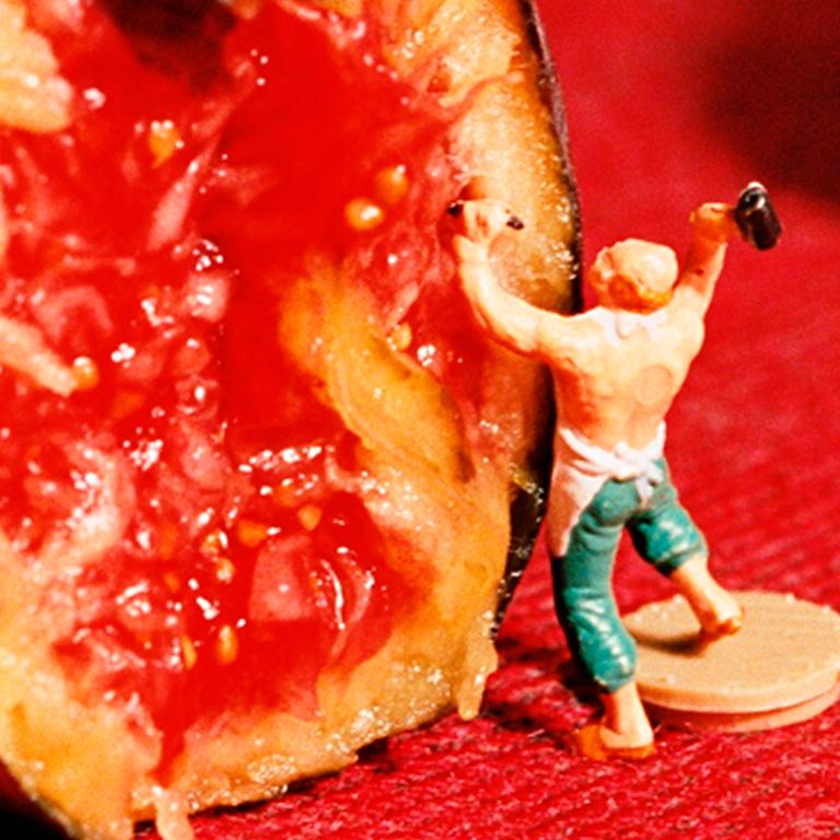 Figs - Fotografía en miniatura contemporánea del siglo XXI sobre plexiglás 1