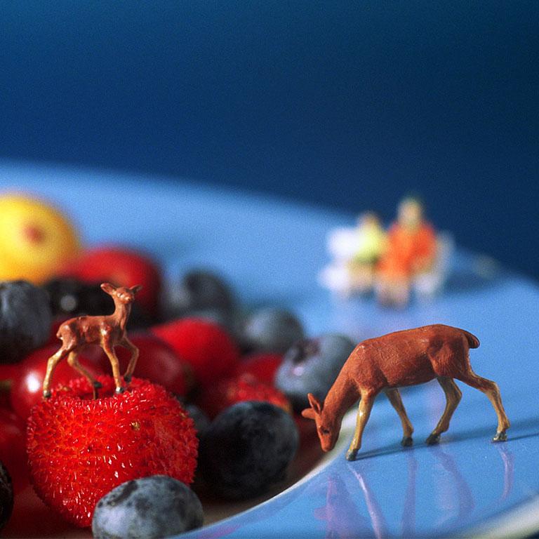 Fruit Plate - 21st Century, Contemporary, Miniature Photography on Plexi 1